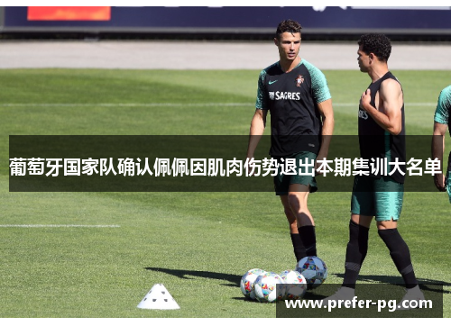 葡萄牙国家队确认佩佩因肌肉伤势退出本期集训大名单 葡萄牙国家队确认佩佩因肌肉伤势退出本期集训大名单
