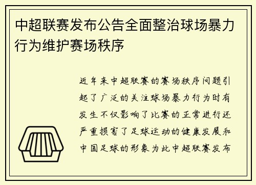 中超联赛发布公告全面整治球场暴力行为维护赛场秩序