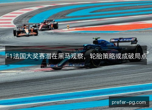 F1法国大奖赛潜在黑马观察，轮胎策略或成破局点